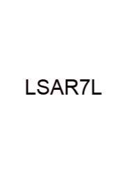 Long South American River 7 Letters
