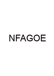 Name For A Group Of Eagles