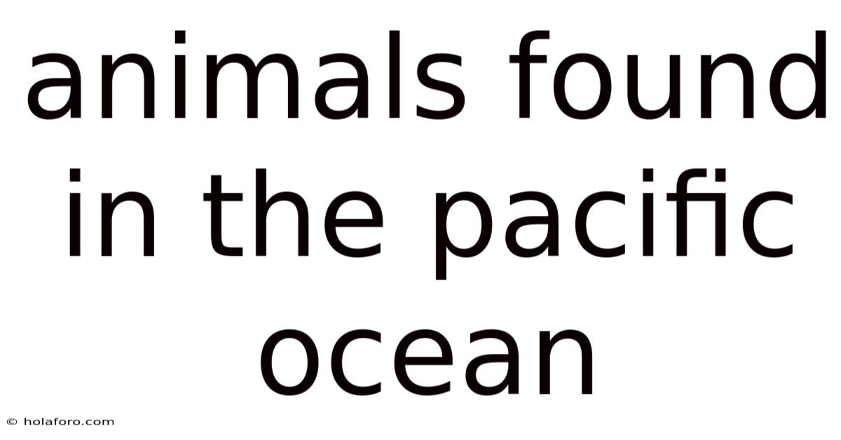 Animals Found In The Pacific Ocean