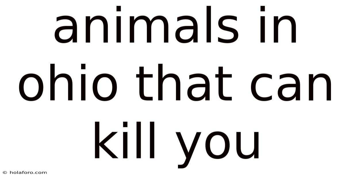Animals In Ohio That Can Kill You