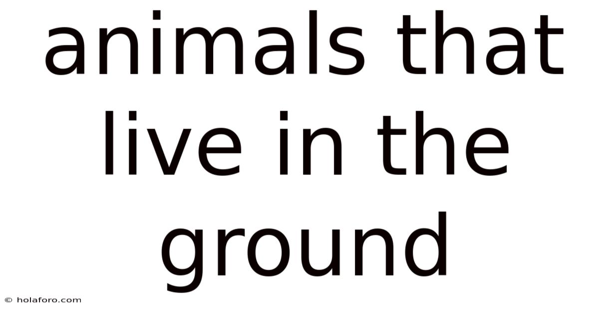 Animals That Live In The Ground