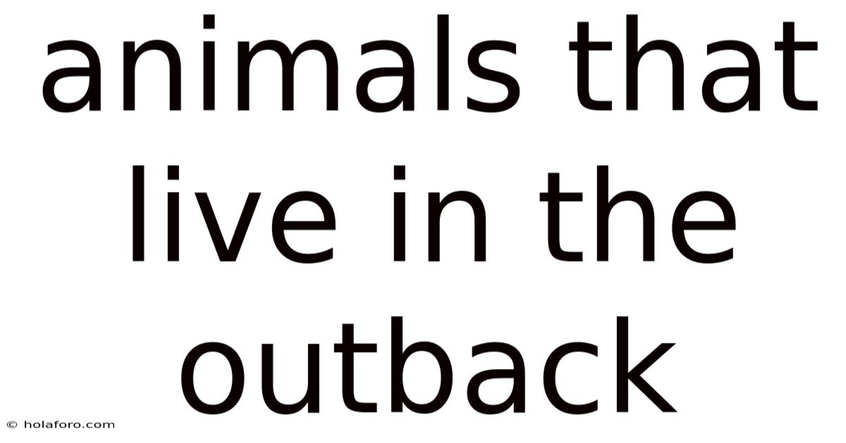 Animals That Live In The Outback