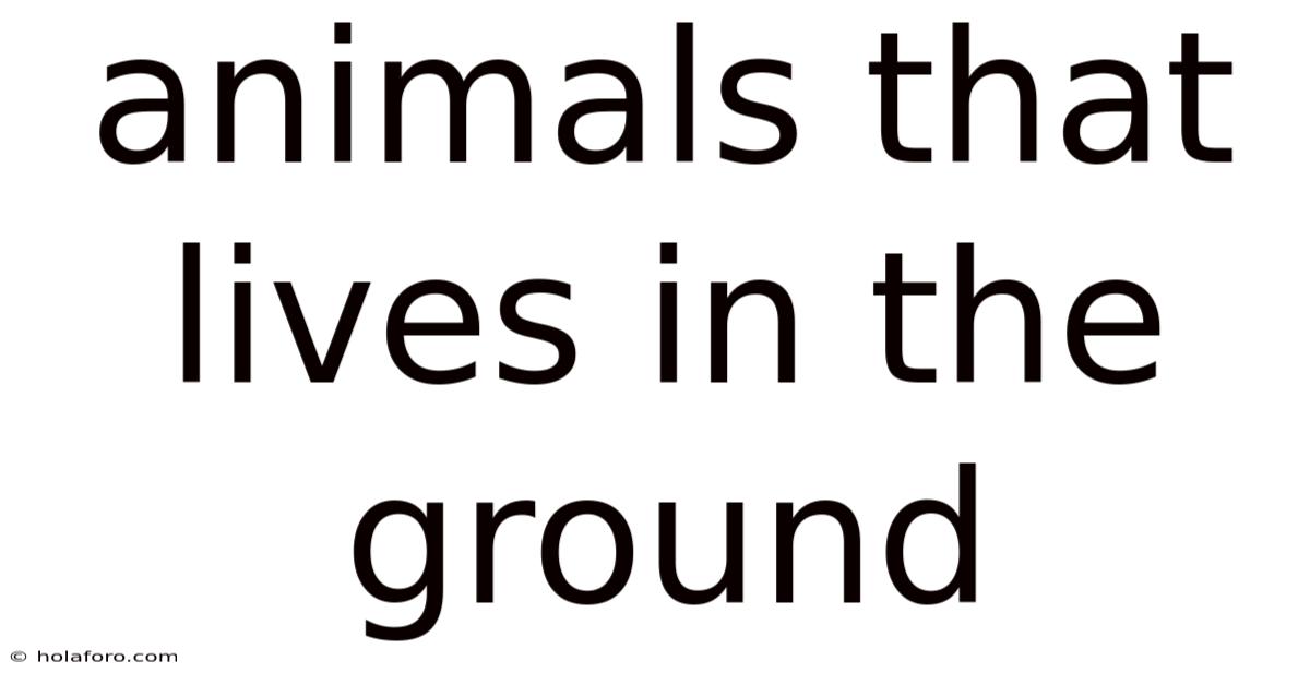 Animals That Lives In The Ground