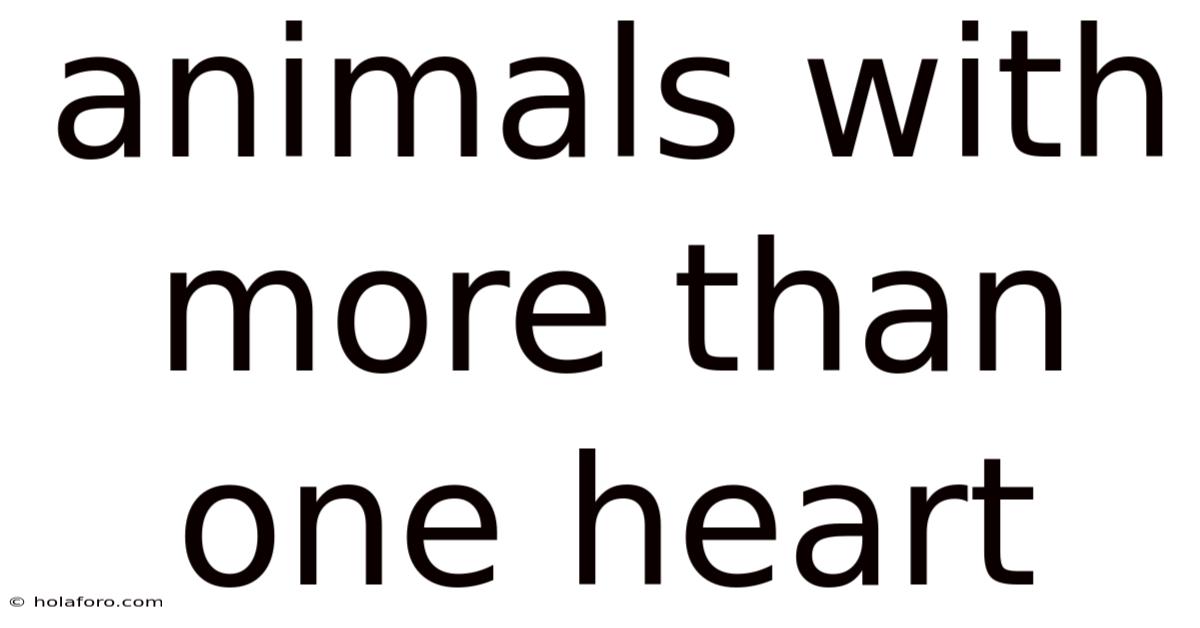 Animals With More Than One Heart