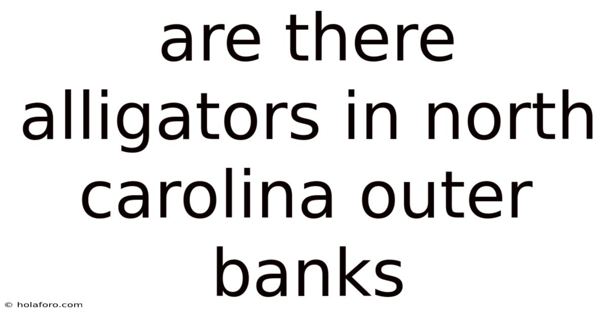 Are There Alligators In North Carolina Outer Banks