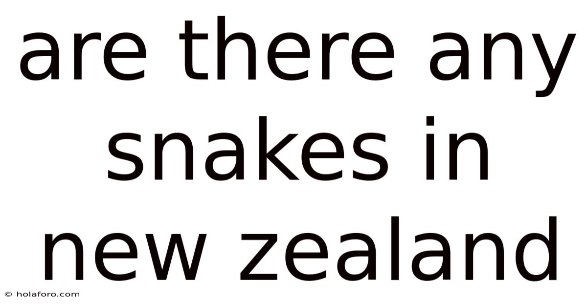 Are There Any Snakes In New Zealand