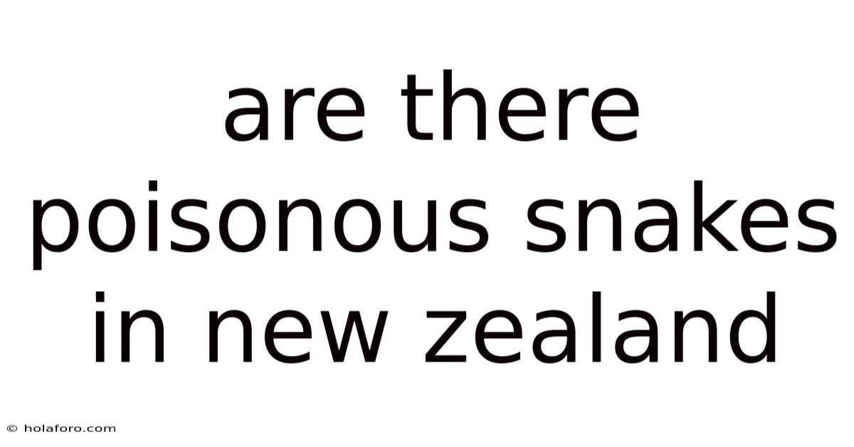 Are There Poisonous Snakes In New Zealand