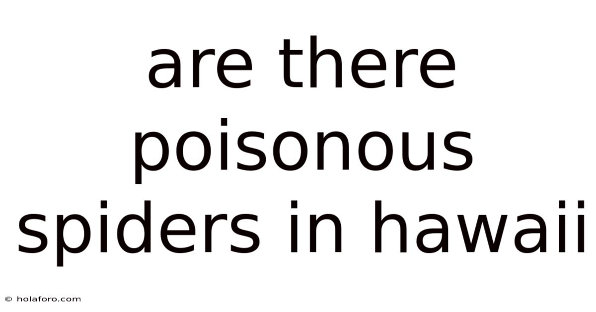 Are There Poisonous Spiders In Hawaii
