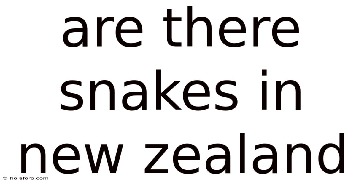 Are There Snakes In New Zealand