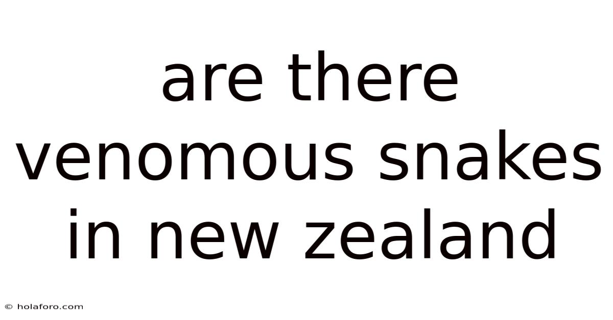 Are There Venomous Snakes In New Zealand