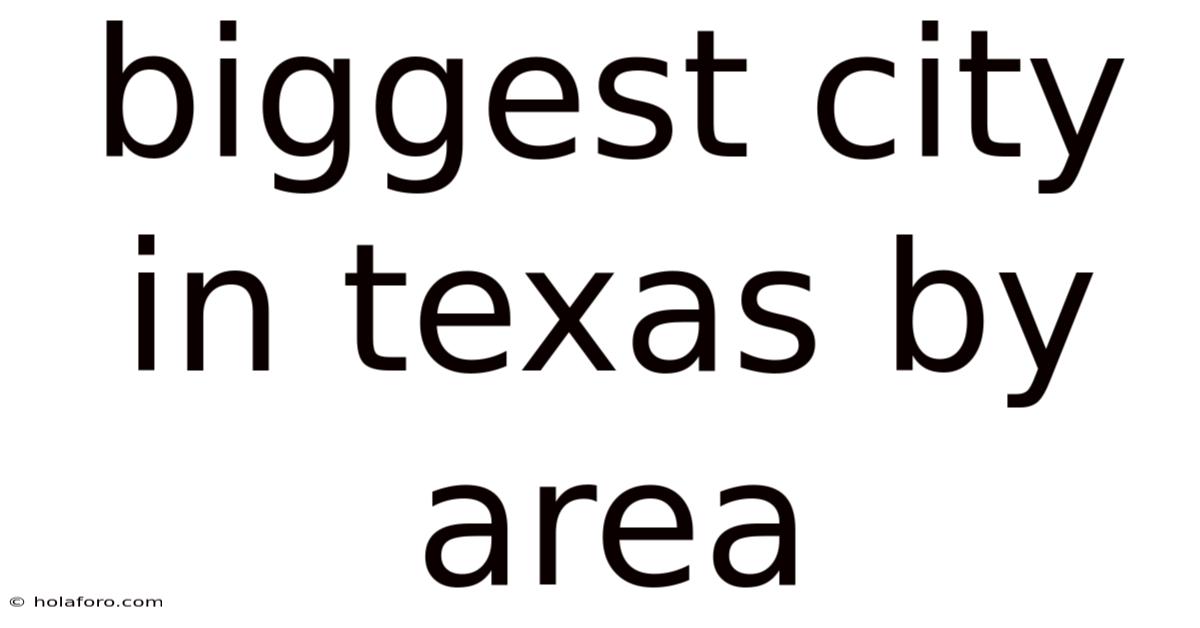 Biggest City In Texas By Area
