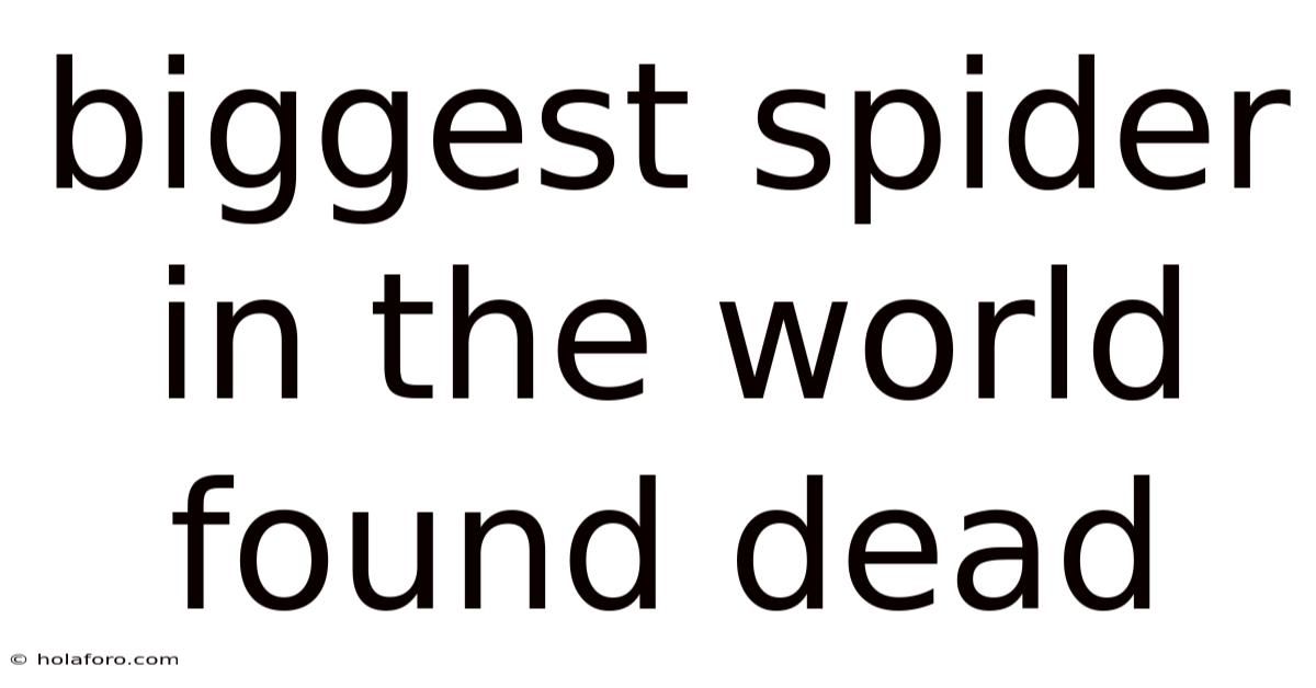Biggest Spider In The World Found Dead