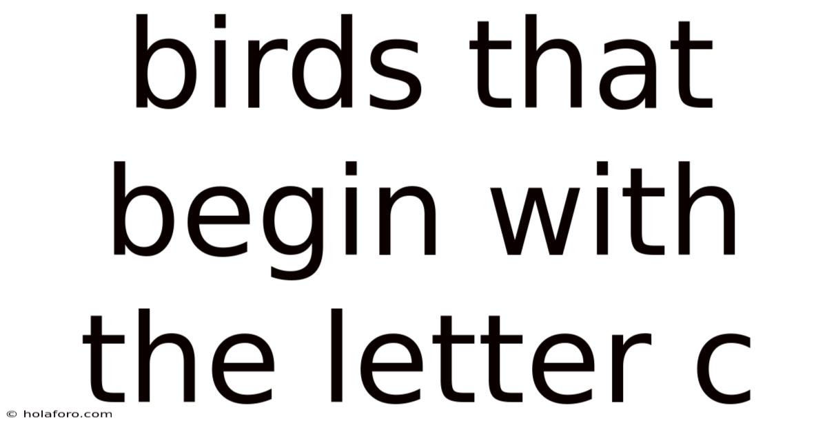 Birds That Begin With The Letter C
