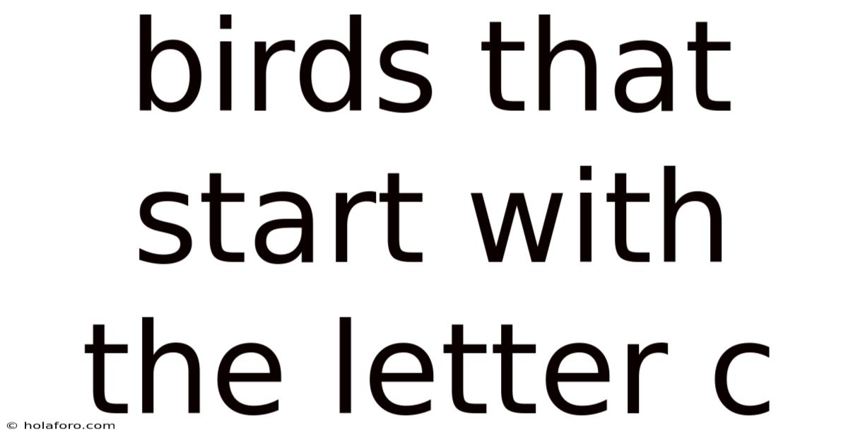 Birds That Start With The Letter C