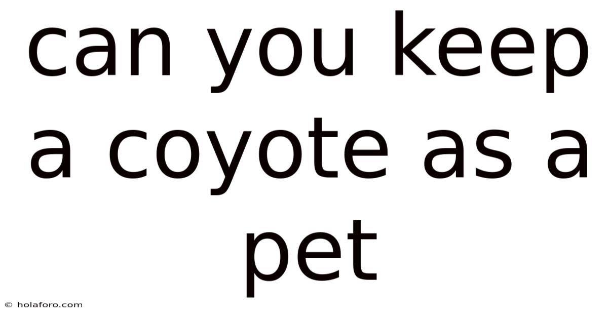Can You Keep A Coyote As A Pet