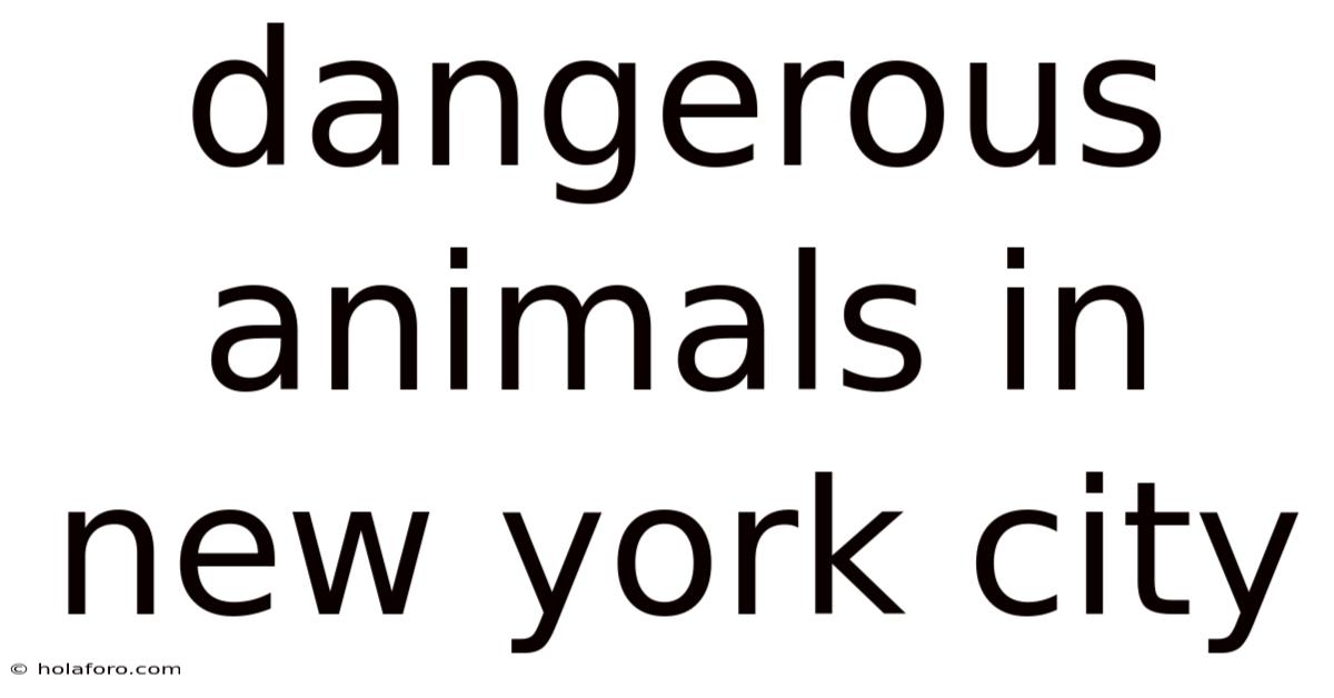 Dangerous Animals In New York City