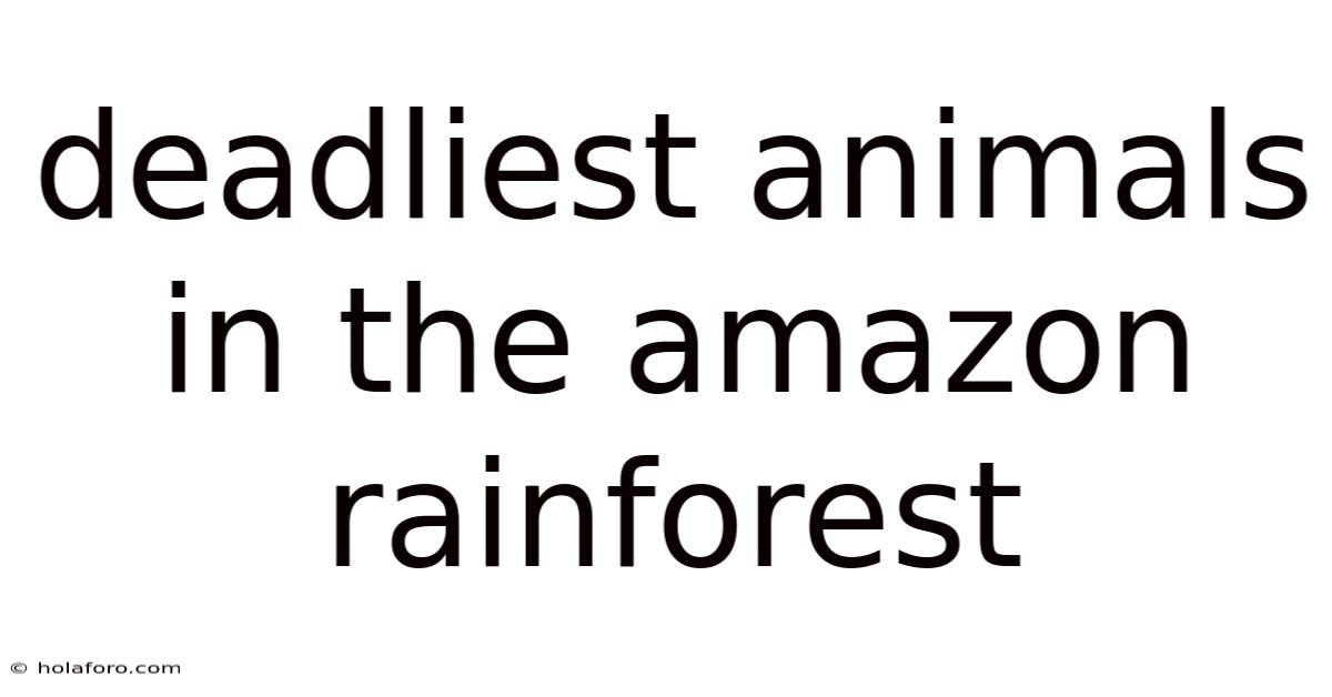 Deadliest Animals In The Amazon Rainforest