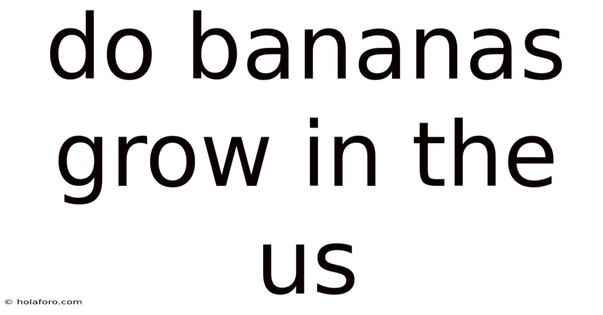 Do Bananas Grow In The Us