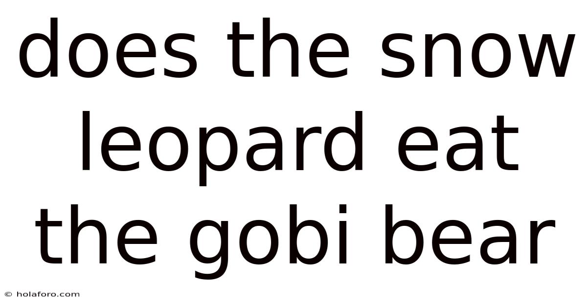 Does The Snow Leopard Eat The Gobi Bear