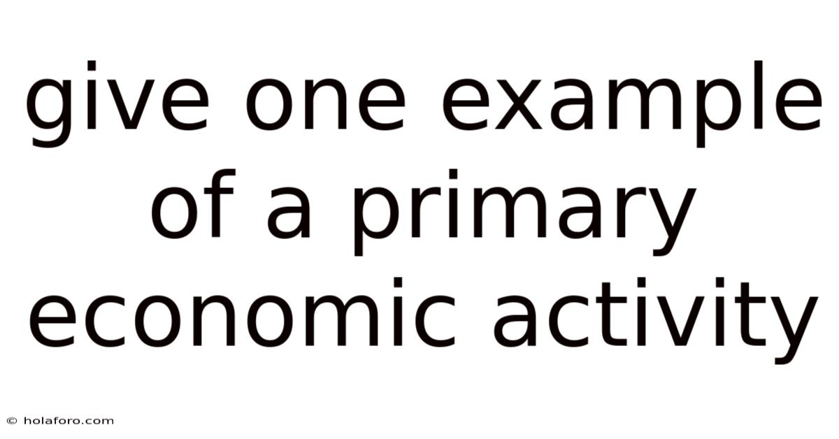 Give One Example Of A Primary Economic Activity