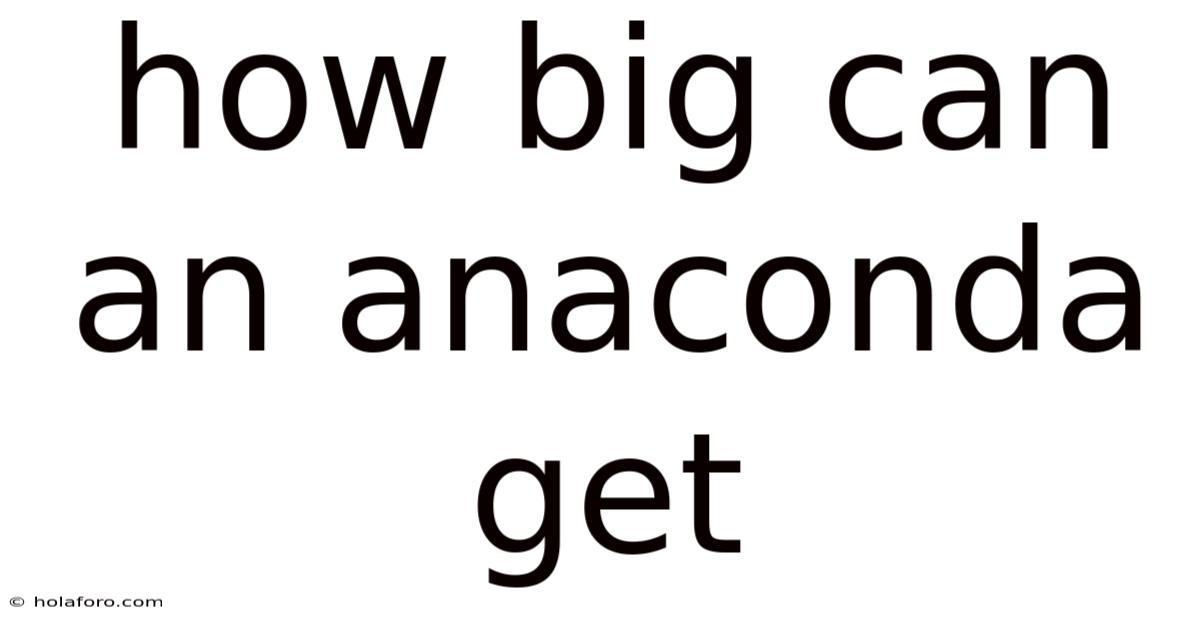 How Big Can An Anaconda Get