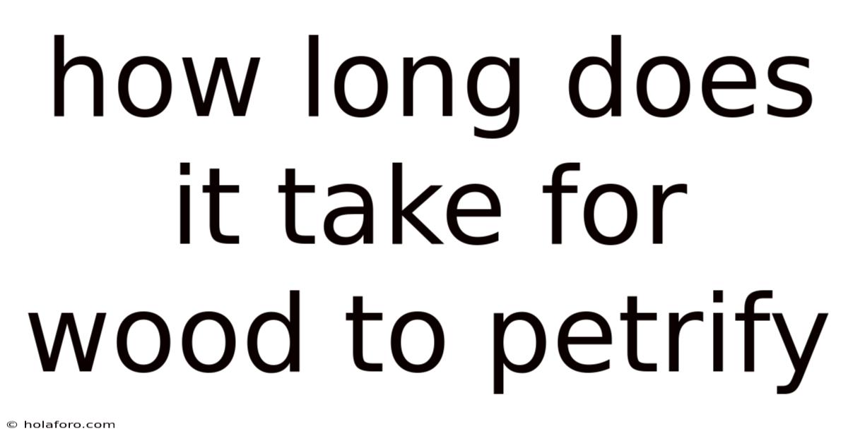 How Long Does It Take For Wood To Petrify