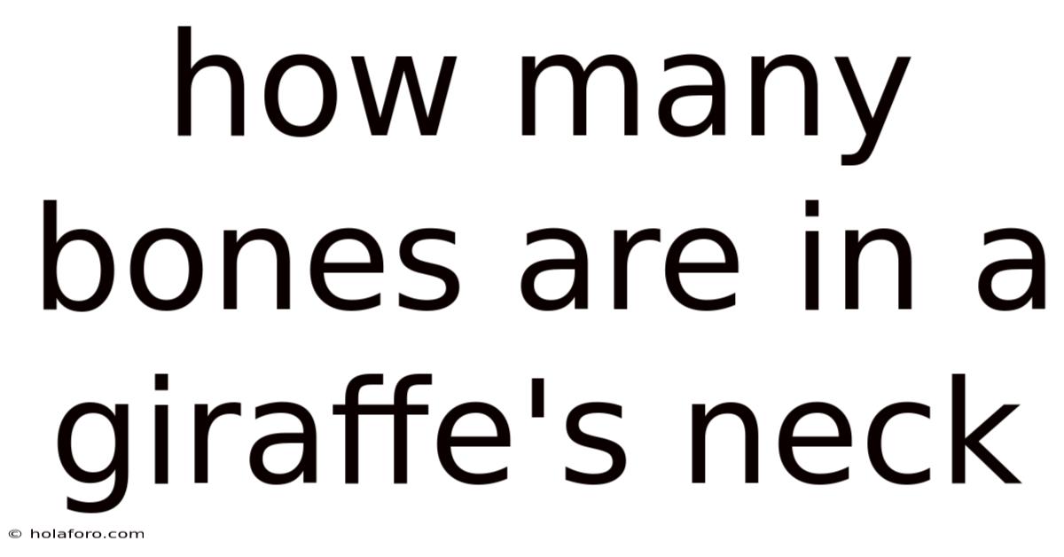 How Many Bones Are In A Giraffe's Neck