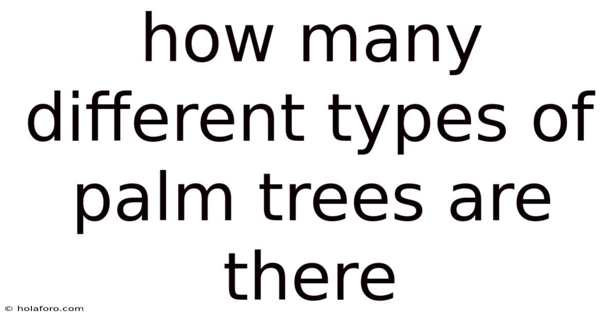 How Many Different Types Of Palm Trees Are There