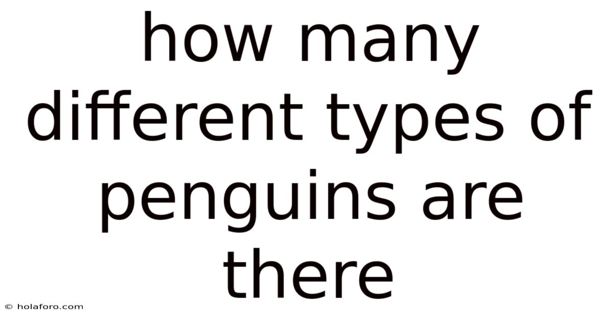How Many Different Types Of Penguins Are There