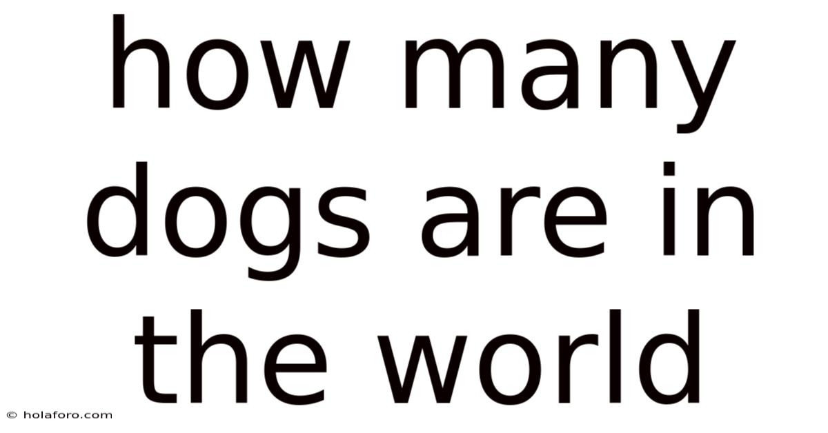 How Many Dogs Are In The World