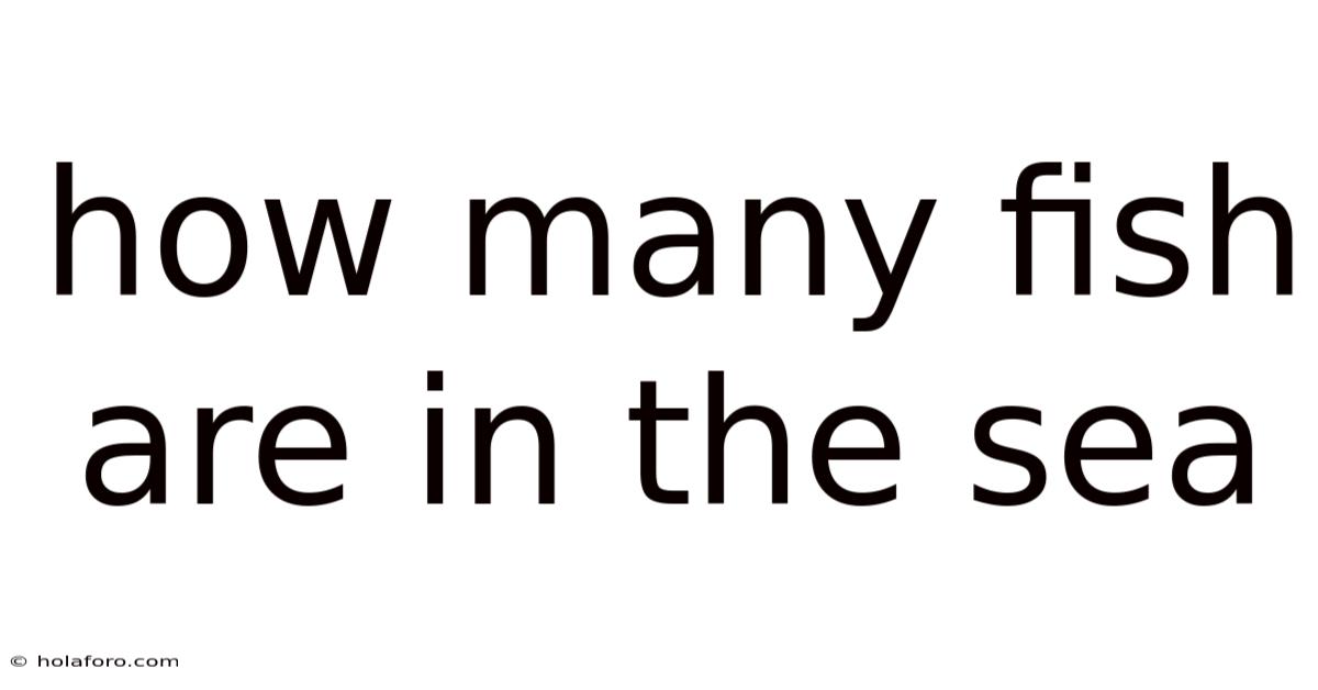 How Many Fish Are In The Sea
