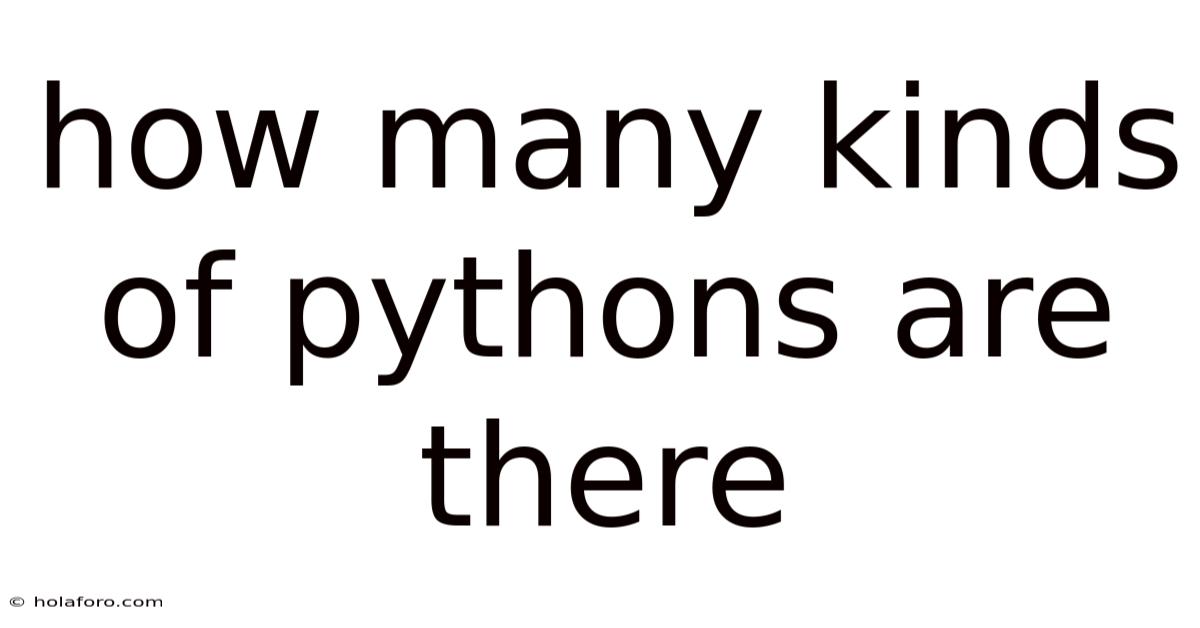 How Many Kinds Of Pythons Are There