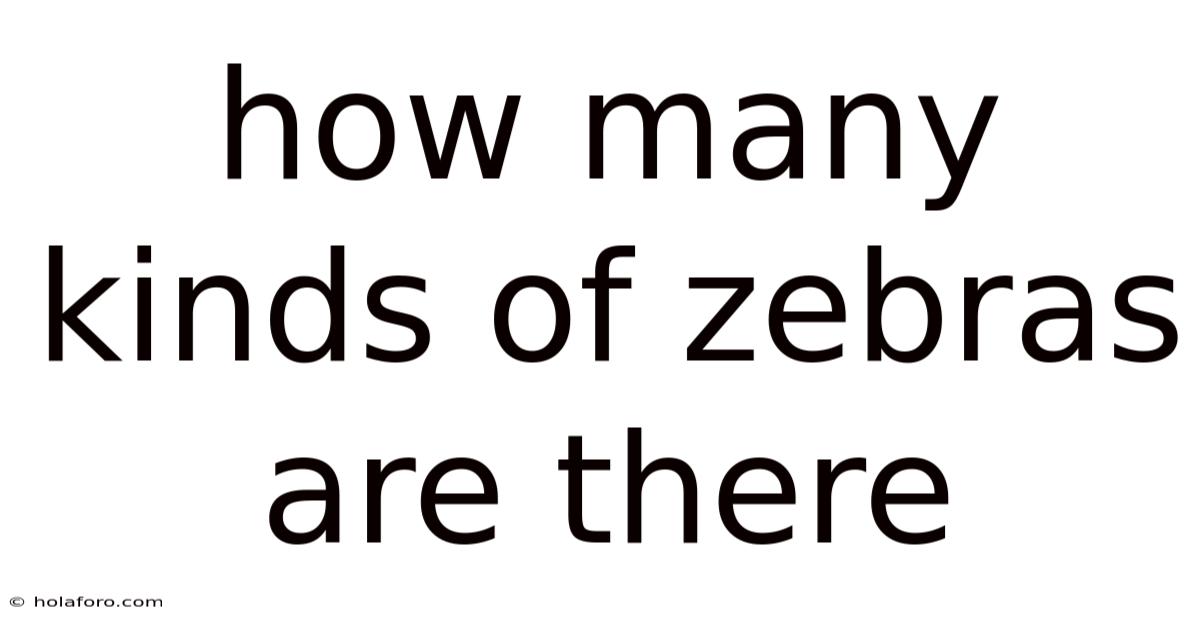 How Many Kinds Of Zebras Are There