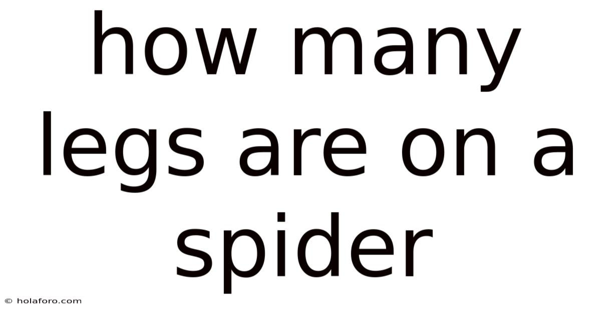 How Many Legs Are On A Spider