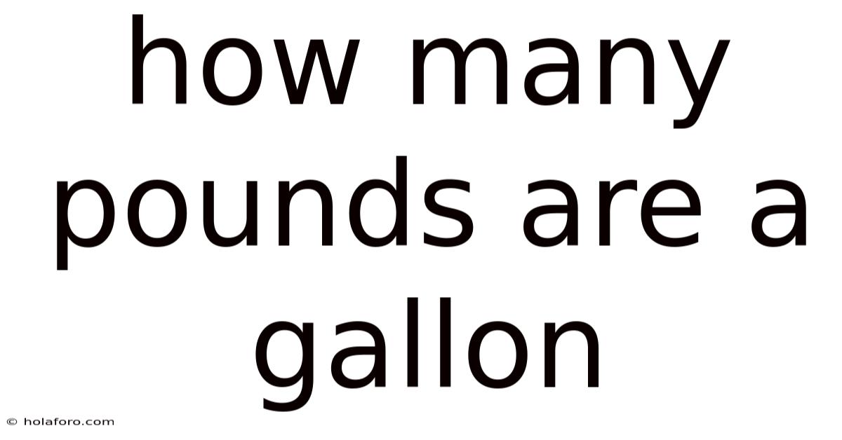 How Many Pounds Are A Gallon