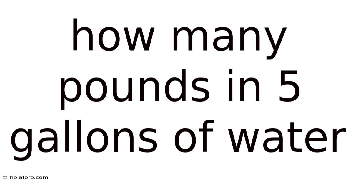How Many Pounds In 5 Gallons Of Water
