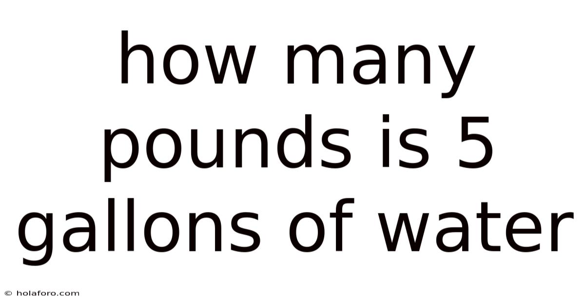 How Many Pounds Is 5 Gallons Of Water