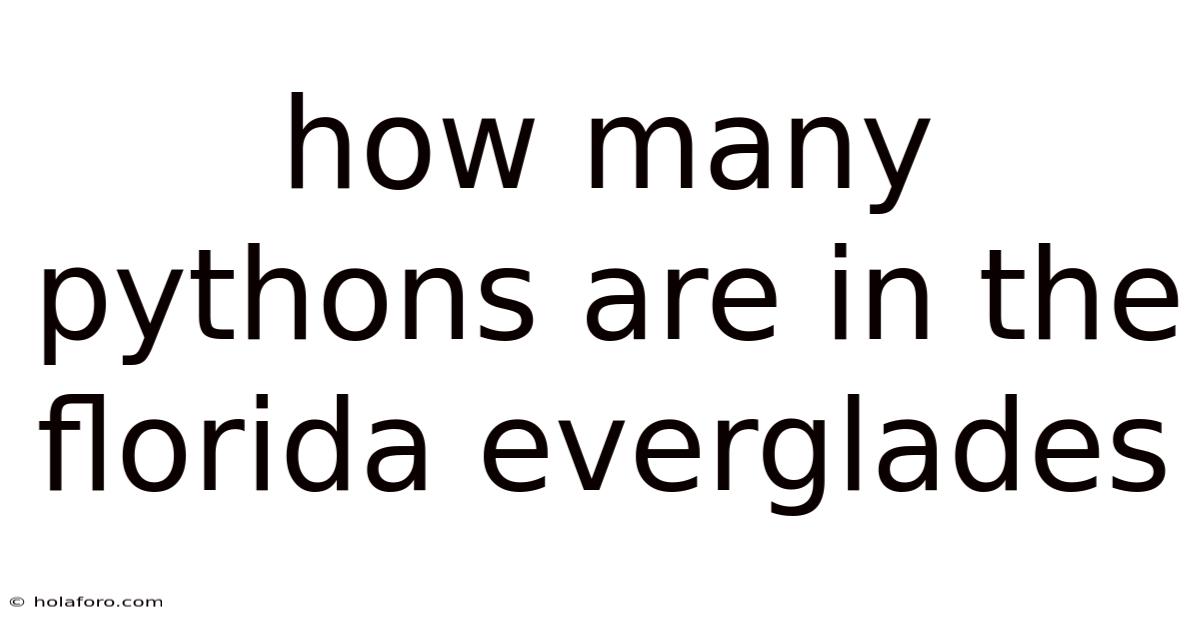 How Many Pythons Are In The Florida Everglades