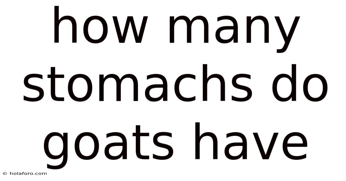 How Many Stomachs Do Goats Have