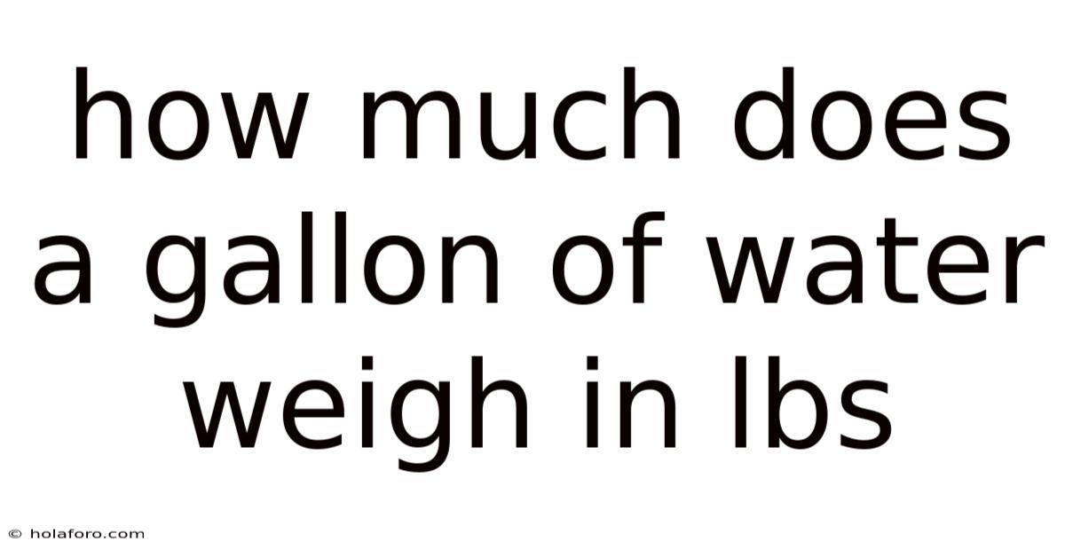 How Much Does A Gallon Of Water Weigh In Lbs