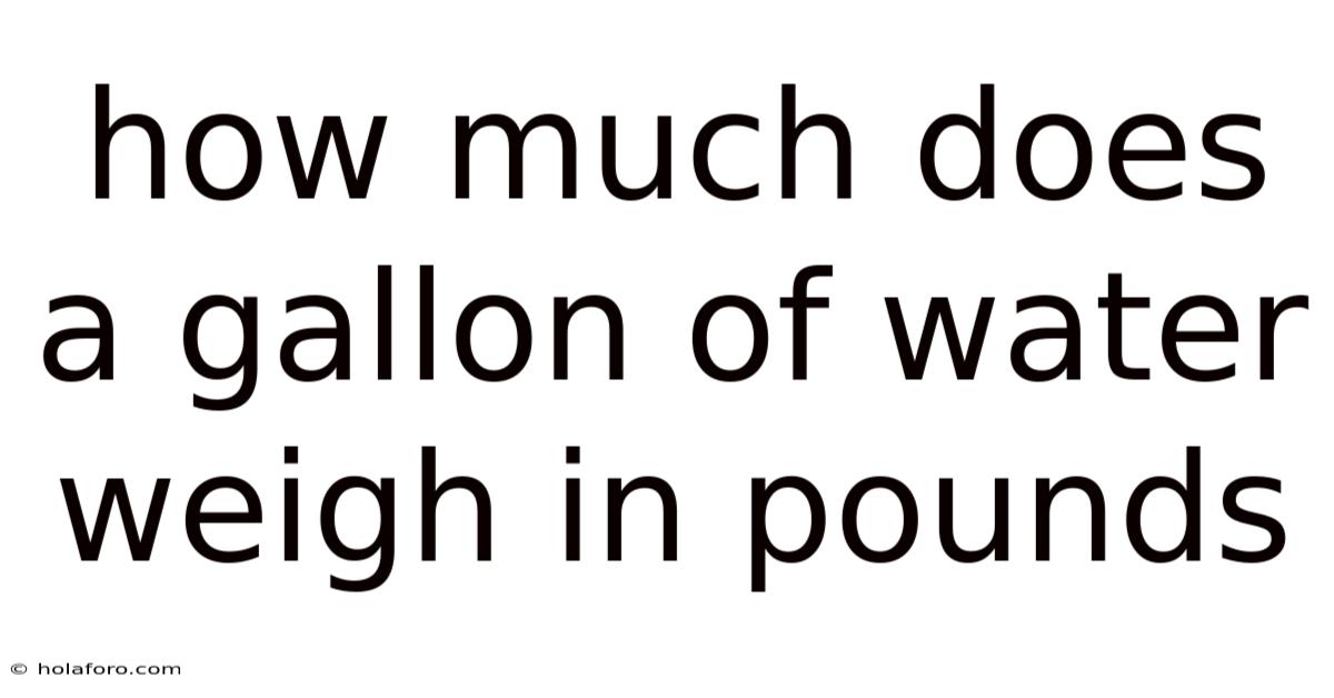 How Much Does A Gallon Of Water Weigh In Pounds