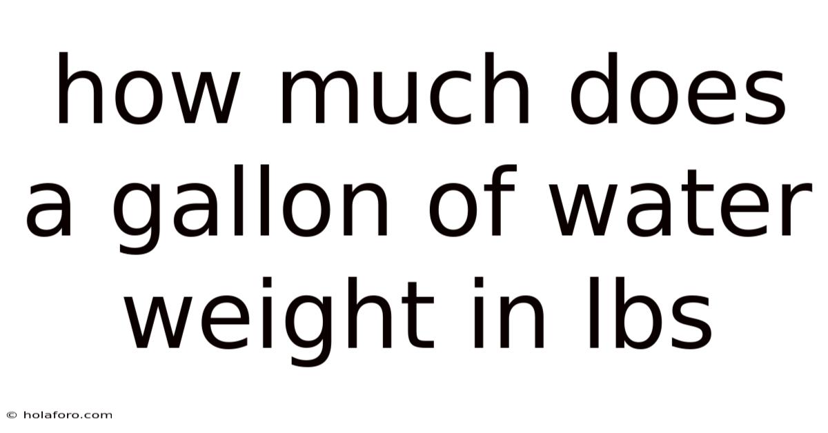 How Much Does A Gallon Of Water Weight In Lbs