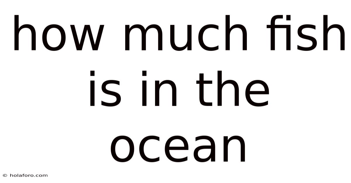 How Much Fish Is In The Ocean