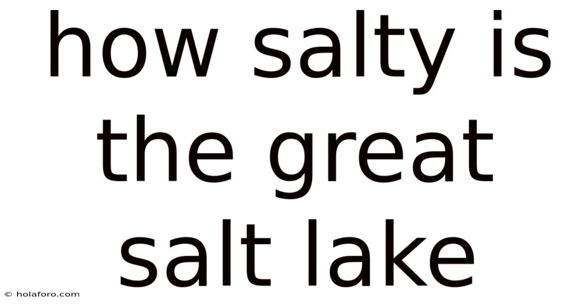 How Salty Is The Great Salt Lake
