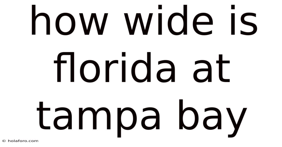 How Wide Is Florida At Tampa Bay