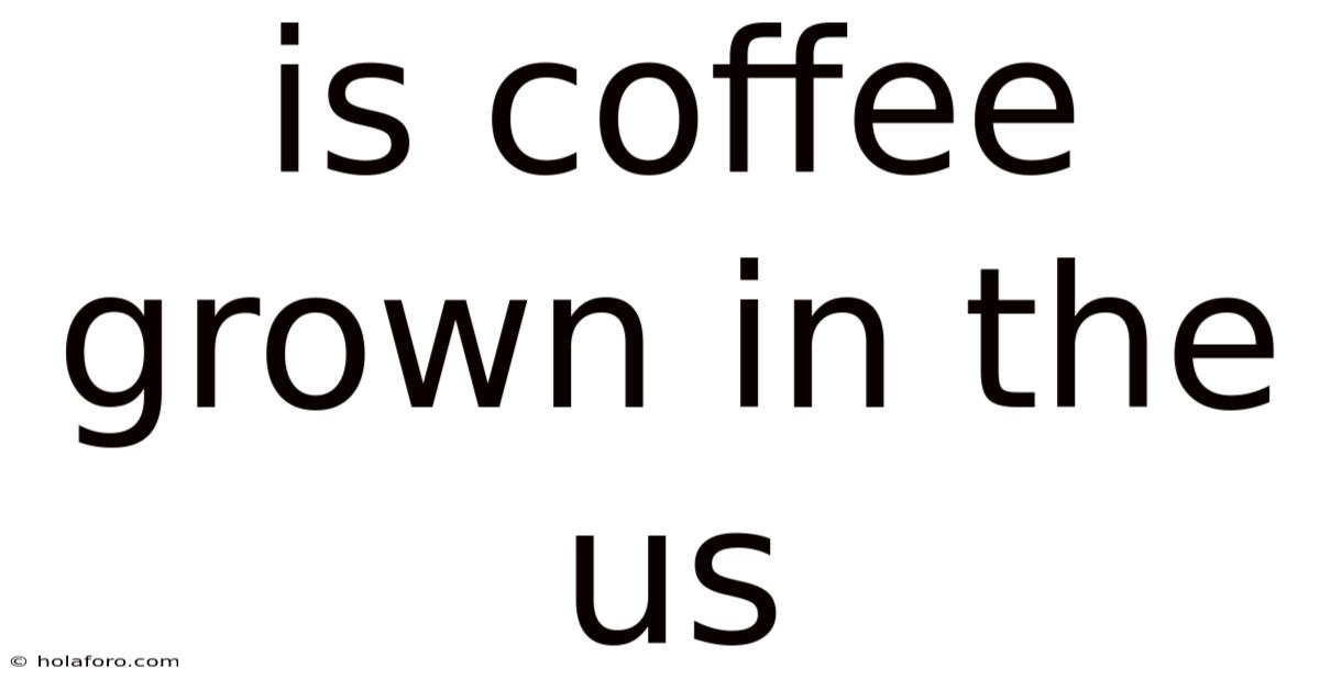 Is Coffee Grown In The Us