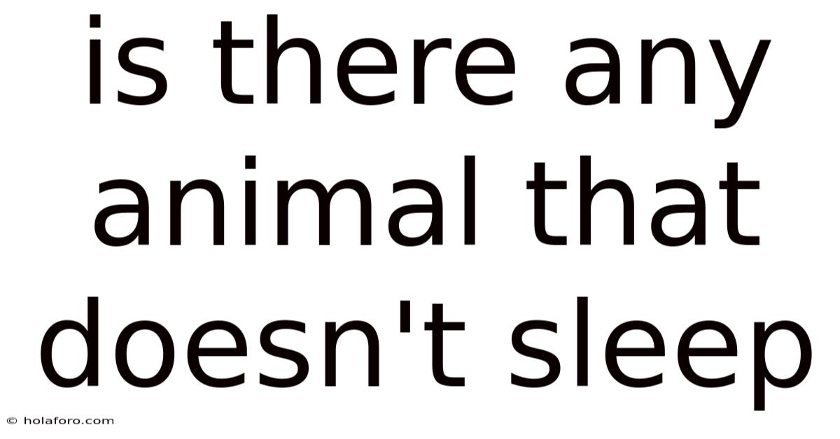 Is There Any Animal That Doesn't Sleep