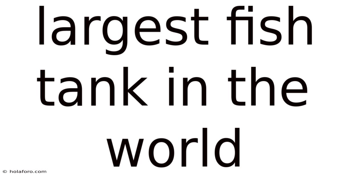 Largest Fish Tank In The World