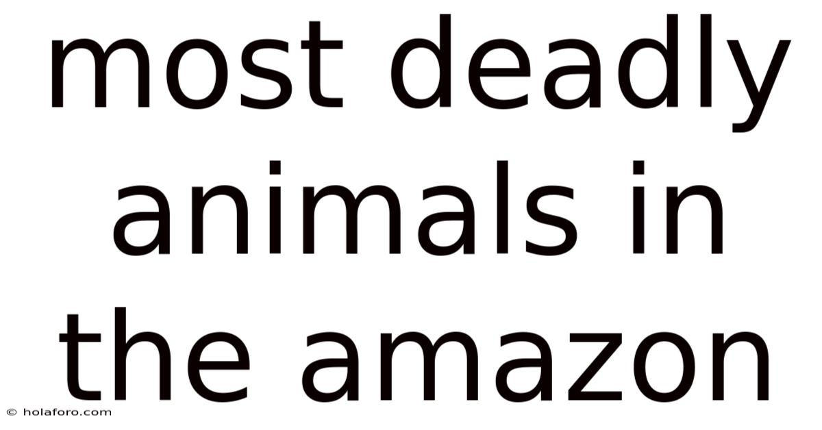 Most Deadly Animals In The Amazon
