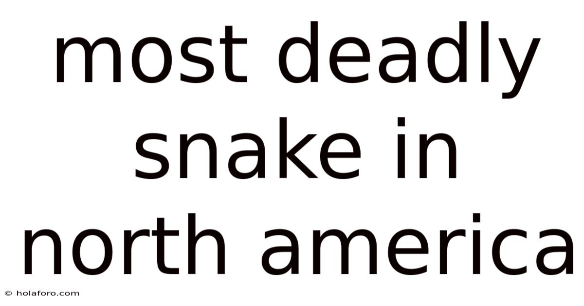 Most Deadly Snake In North America